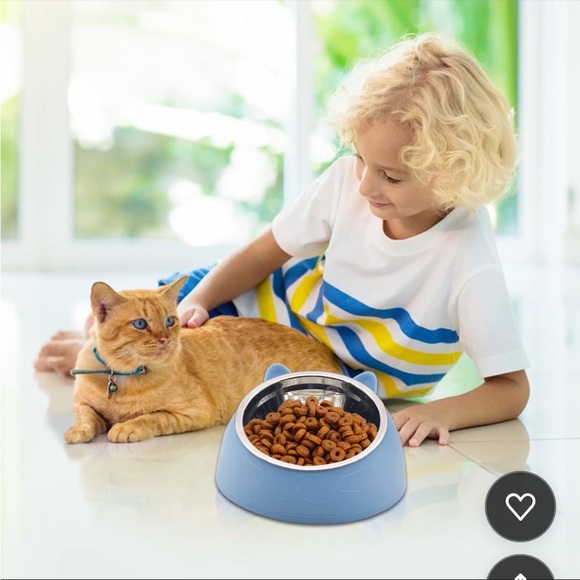 Blue 200ml - New -Raised Cat Bowls, Tilted Stainless Steel Cat Food Bowls - Picture 6 of 8
